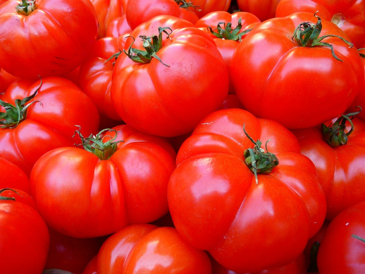 is tomaat groente of fruit
